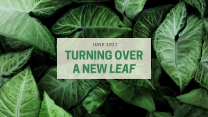 Turning Over a New LEAF